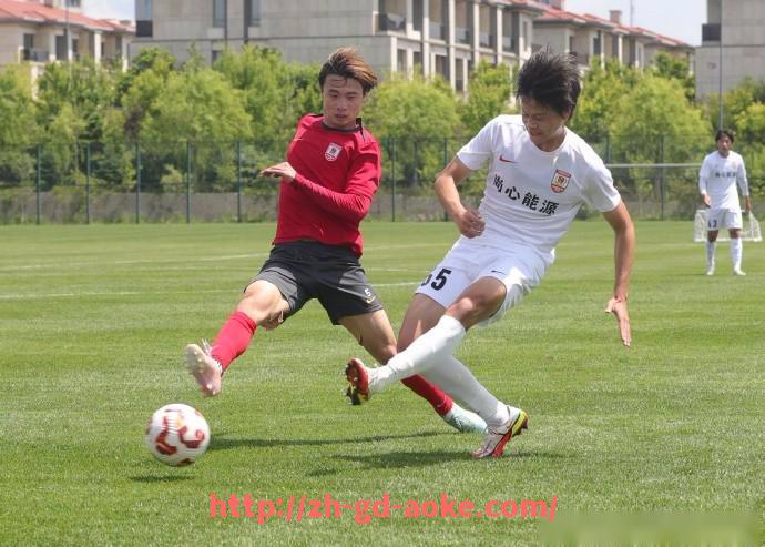 澳客足彩-法甲进球贡献度排名及关键球员作用分析