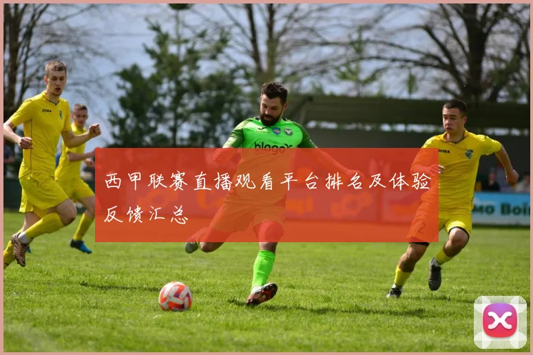 西甲联赛直播观看平台排名及体验反馈汇总