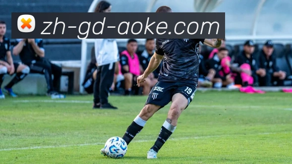 西甲在哪里有直播观看？主流体育平台实时更新